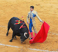 Fiesta taurina...