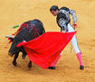 Fiesta Taurina III