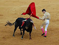 Fiesta Taurina tres