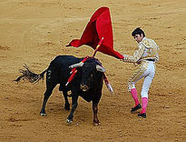 Fiesta Taurina tres