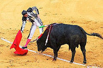 Fiesta Taurina Tres