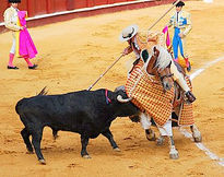 Fiesta taurina