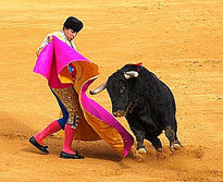Fiesta Taurina