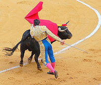 Fiesta taurina