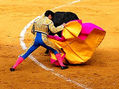 taurinas