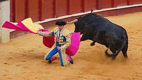 Ole con oleeeee