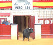 en la salida