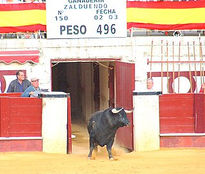 En la salida