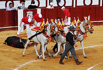 Al encierro