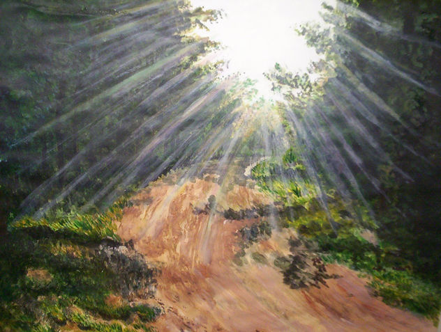 RESPLANDOR EN EL BOSQUE