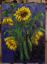 girasols