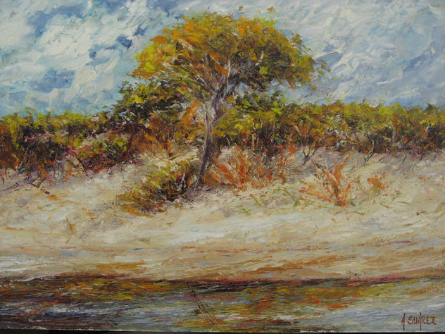 PLAYA EL PORTIL (HUELVA)