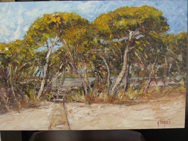 PLAYA EL PORTIL (HUELVA)