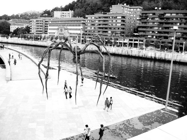 aranha