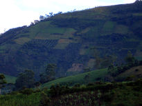 Paisaje Rural De...