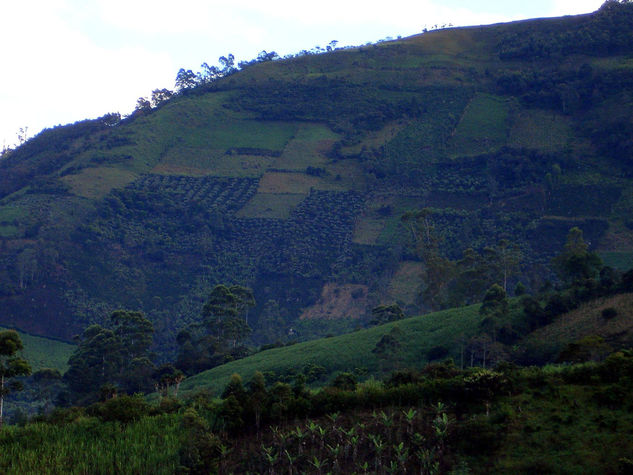 Paisaje Rural De Consacá Naturaleza Color (Digital)