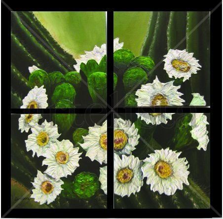 Cactus