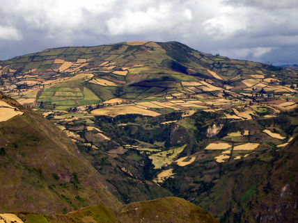 Guaitarilla (2)