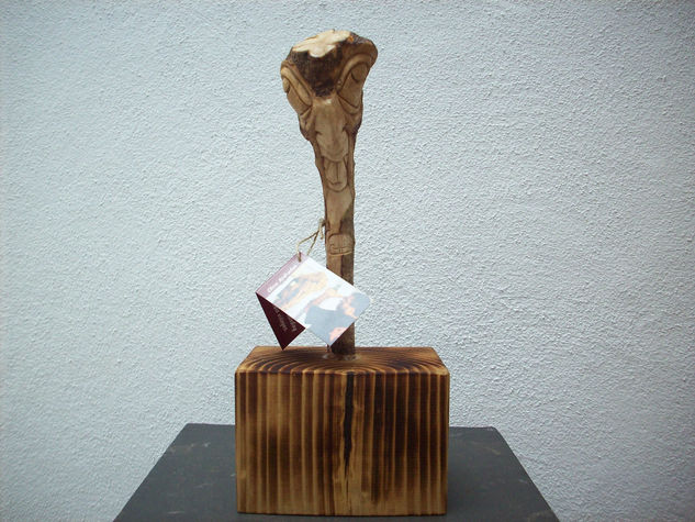 Hipnosis. Wood Figurative