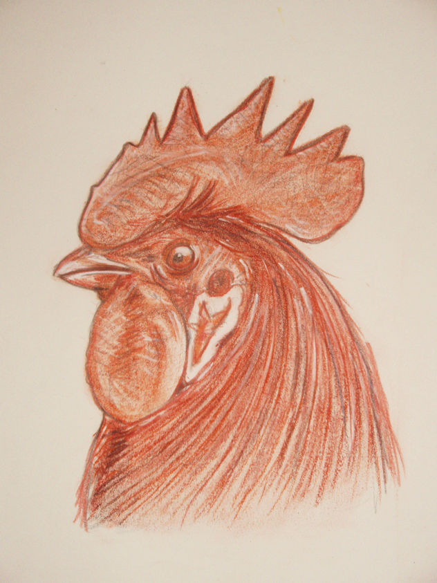 Gallo