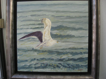 Gaviota el portil...