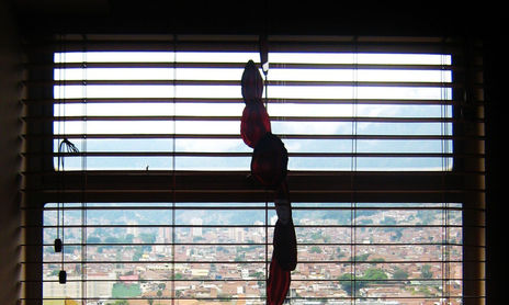 Naturaleza Robada