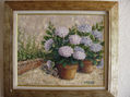 HORTENSIAS
