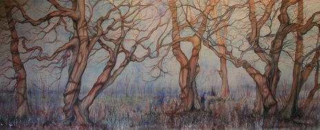 Bosque de irati