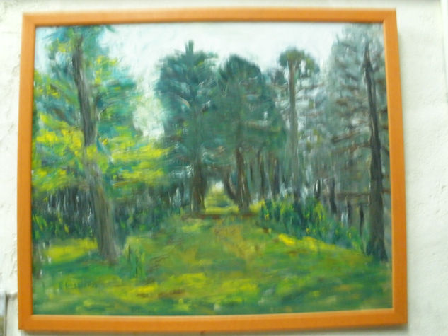 pinar de las navas 