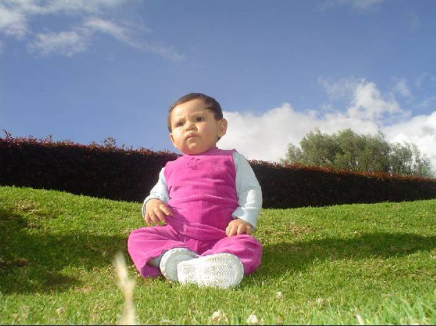 MIRANDO EL FUTURO