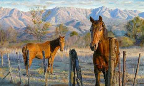Testimoniales con Caballos
