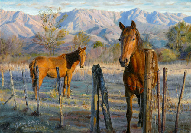 Potrero de Traslasierra
