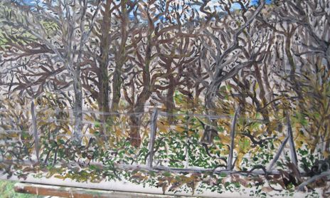 Invierno del 2011
