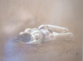 desnudo