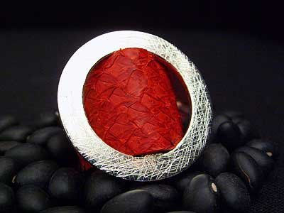 Anillo rueda