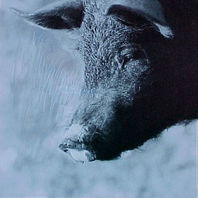 obra