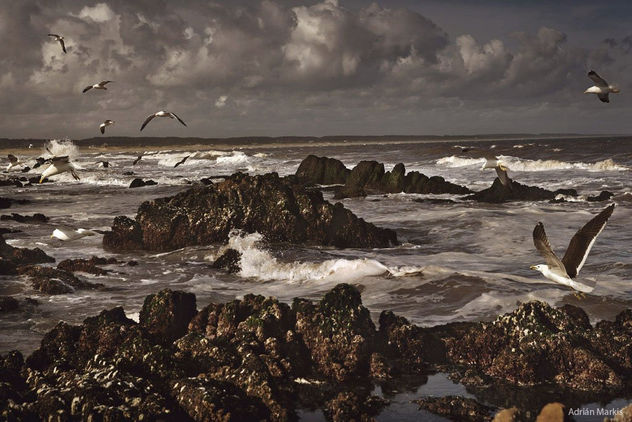 Foto 9 de la serie ¨ Playas del Uruguay ¨