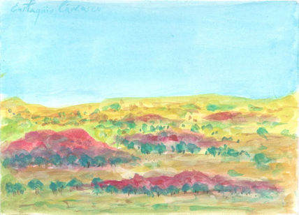 Paisaje  de Rebisia