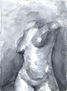 torso de mujer