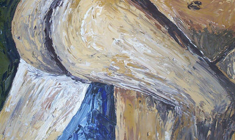 desnudos
