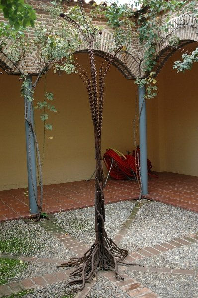 "Palmera"