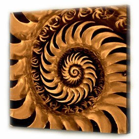 Flor de Oro Ref. AQ-OIL-57