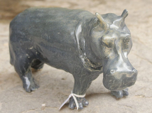 Hipopotamo