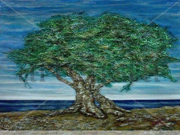 TIERRA,MAR Y AIRE