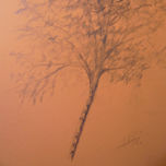 dibujos thumbnail 1