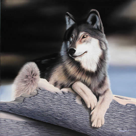 Complacencia Oil Canvas