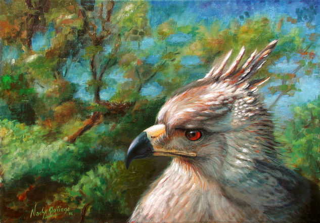 Aguila Coronada Oil Canvas Animals