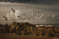 Foto 8 de la serie ¨ Playas del Uruguay ¨