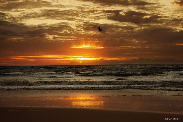 Foto 5 de la serie ¨ Playas del Uruguay ¨