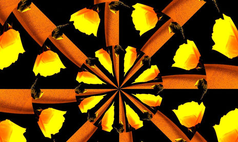 pop art flores en mandalas